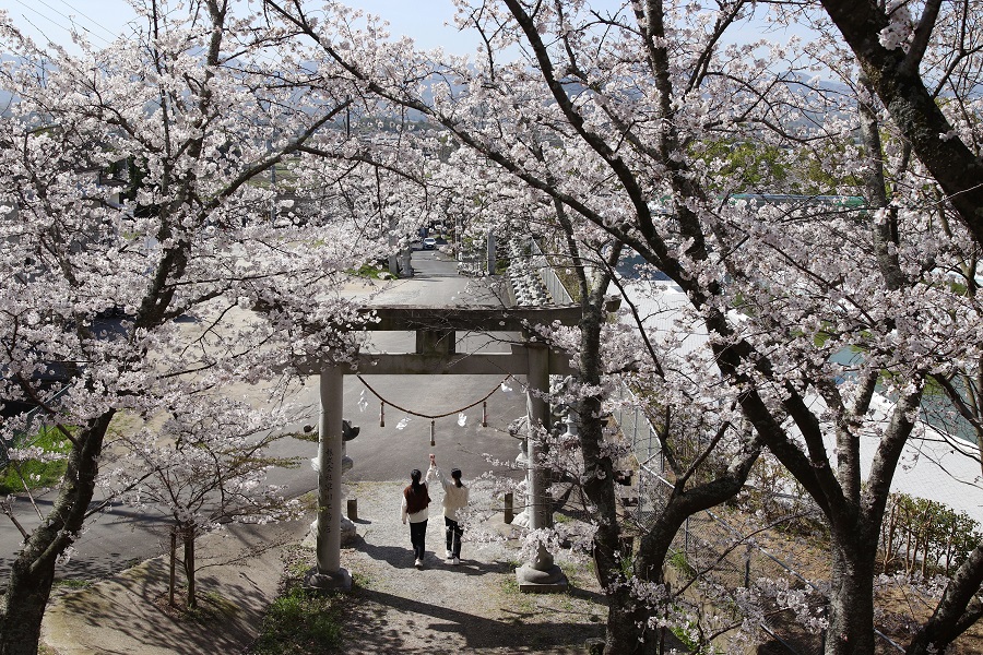 画像：三木町