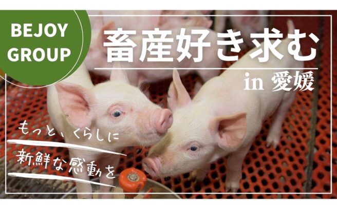 画像：愛媛飼料産業株式会社